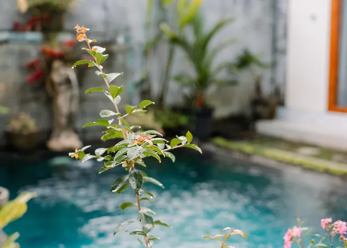 D Teba With Swimming Pool, Villa